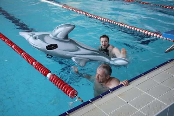 Веселые дельфины